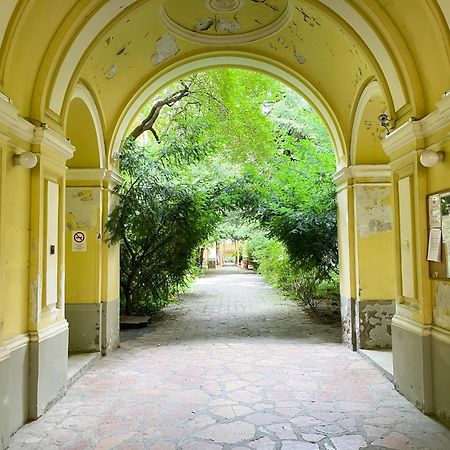 Coente Apartments Kiraly 28 Budapest Ngoại thất bức ảnh
